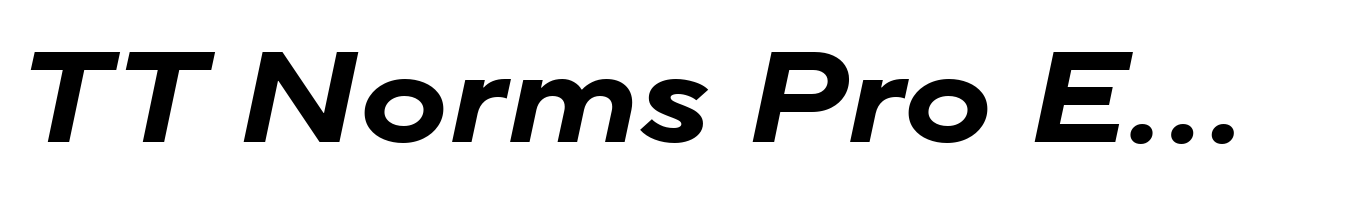 TT Norms Pro Expanded Bold Italic